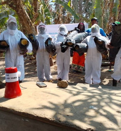 486176857_122237163908017411_5447807832964421691_n