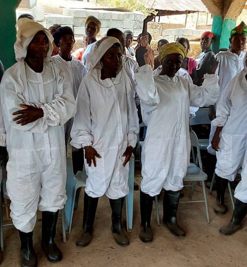 489821759_122239882988017411_6771322964545129056_n